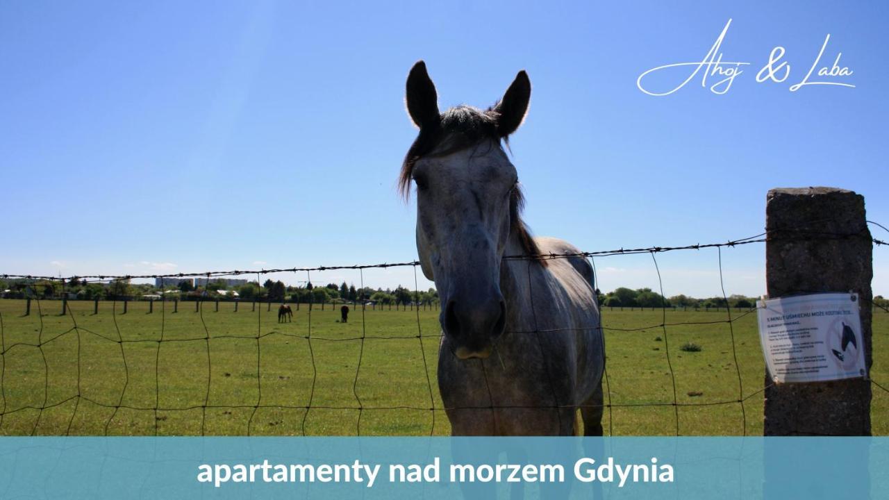 Laba - Basen, Blisko Plazy, Cisza, Taras, Parking, Bezplatne Wifi, Wyjatkowy! Apartment Gdynia Exterior foto