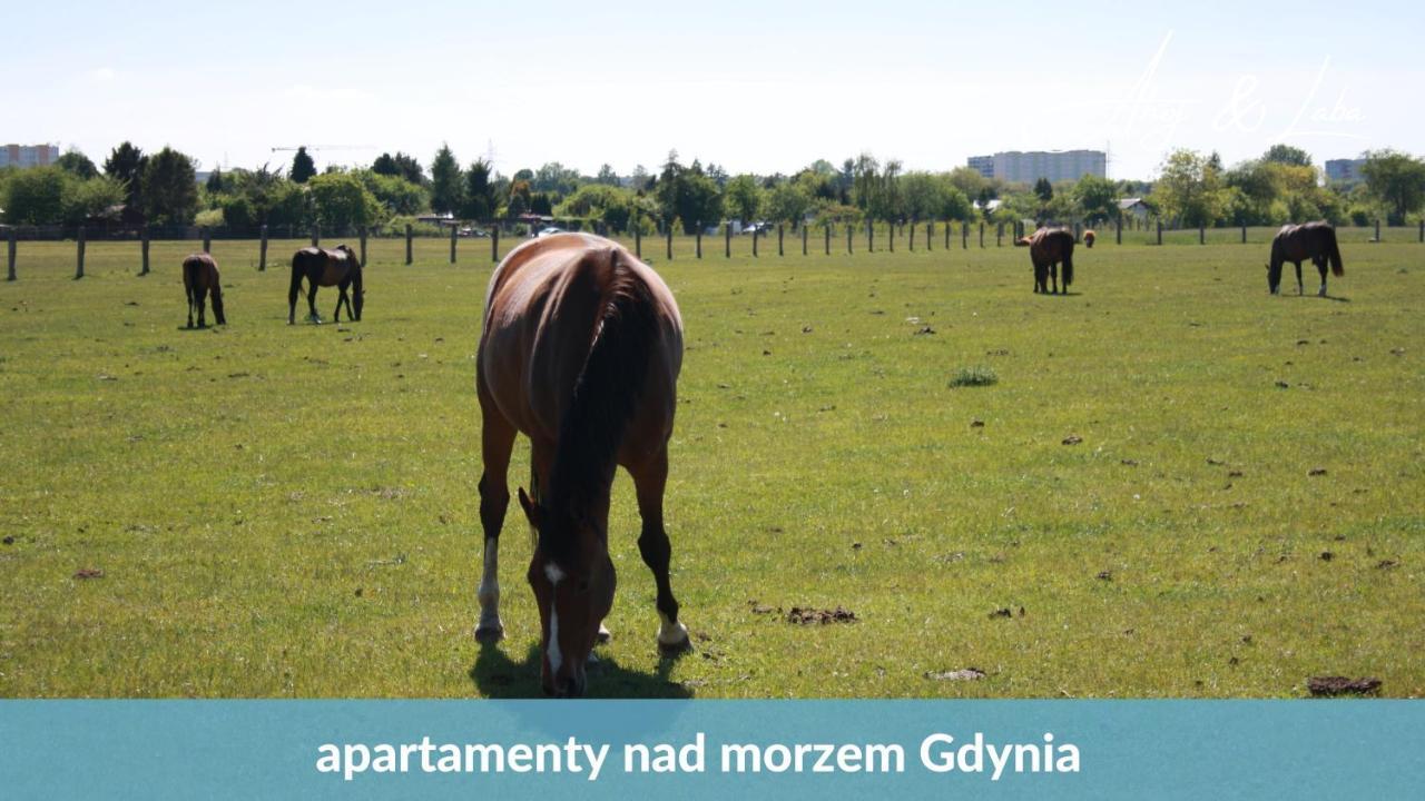 Laba - Basen, Blisko Plazy, Cisza, Taras, Parking, Bezplatne Wifi, Wyjatkowy! Apartment Gdynia Exterior foto
